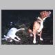 ra1_06.html