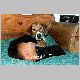 ra1_07.html