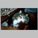 ra1_10.html